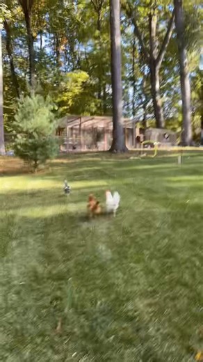 Helping them get their exercise today | Jocelyne Cardona