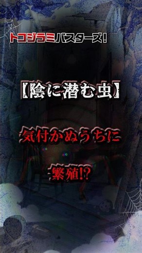 【陰に潜む虫】気付かぬうちに繁殖⁉@トコバス #トコジラミ #トコジラミ駆除 #雑学