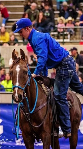 Michael Gascon: Expo Highlights | The Horse Guru-Michael Gascon