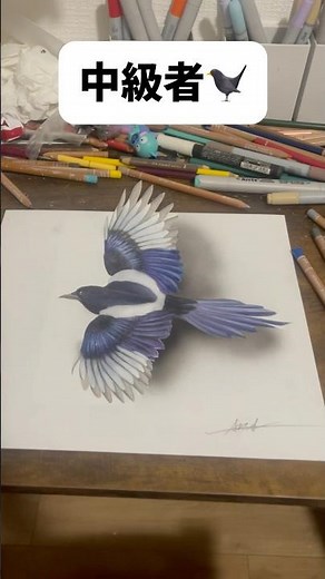 色鉛筆でリアルなカラス🐦‍⬛#イラスト #art #drawing #shorts