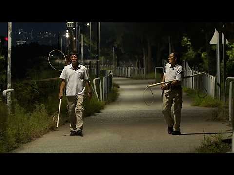 TVB News at 7:30｜23 SEP 2026｜HONG KONG English Latest NEWS｜