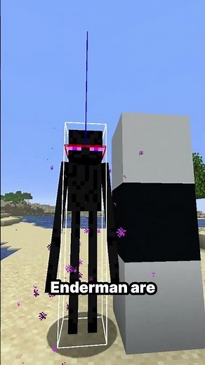 How To Deal With Enderman