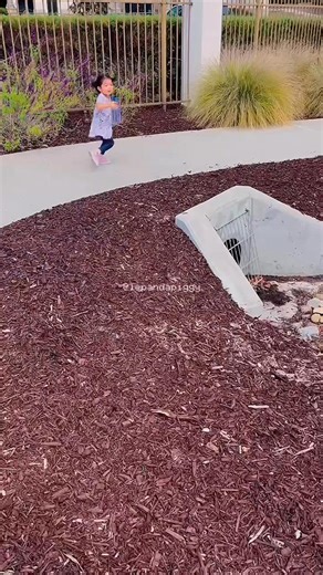 Meet your new hydration essential 💦 @onewaterglobal delivers pure glacial spring water sourced straight from Canada’s Rocky Mountains — crisp, clean, and refreshingly premium 🏔️✨ We brought ours along for a family walk to the park, and it quickly became a favorite. The innovative interlocking bottle design makes it easy to snap bottles together for carrying — convenient, stylish, and perfect for life on the go (especially with Bella leading the way 😅). What makes it even better is the impact 