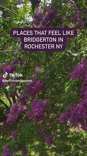 Anna | Buffalo + NY Travel on TikTok