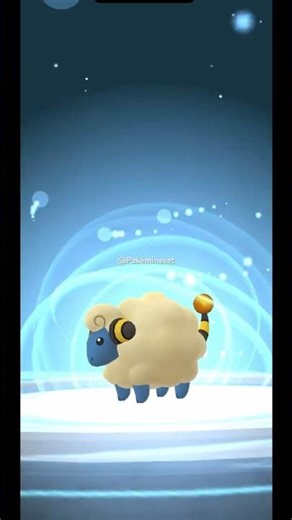 Mareep’s Evolution