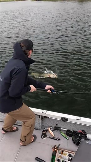 LURE ALMOST TAKES ME OUT THEN CATCHES MUSKY!!