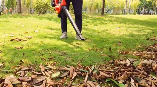 Watch MAXLANDER 40V Cordless Leaf Blower Vacuum on Amazon Live