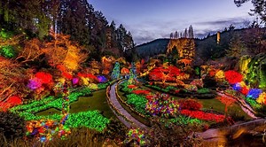 9 festive holiday events you can't miss in Victoria this December | Events