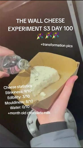 The Wall Cheese Experiment in School Toilets