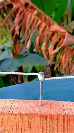 How to tie a knot without cutting the rope 🪢#knotskill #creative #knot