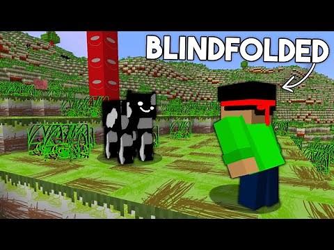 I Remade Every Texture In Minecraft BLINDFOLDED...
