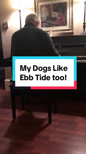 My Dogs Love Listening to Me Play Ebb Tide on Piano
