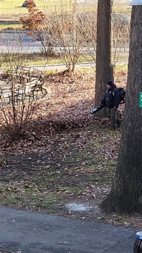 Don't know why @nycparks uses #'leafblowers leaf blowers are bad for the environment due to their air pollution, noise, and disruption of ecosystems. They emit high levels of smog-forming hydrocarbons and carbon monoxide, which can be disproportionately harmful compared to cars, and contribute to climate change. They also cause significant noise pollution, damage soil and plants, and harm wildlife habitats. @zohrankmamdani @nycmayorsoffice | Friends of Pelham Parkway