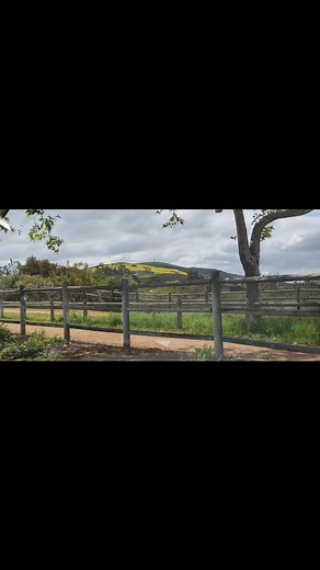 Beautiful Peters Canyon Regional Park on Orange, CA. Just love the moods of this natural treasure! Thank you to all the volunteers and Rangers that keep it so cared for and yest so natural | Susie Vanderlip