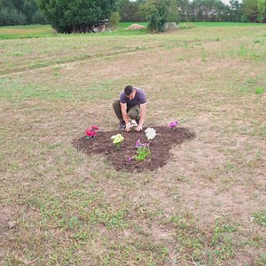 Grow Green Like Never Before with These Easy and Surprising Tips | Green Bean