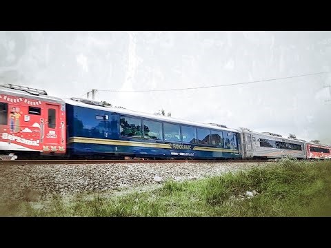 Adrenaline Rush: High-Velocity Train Takes on Tricky Turn