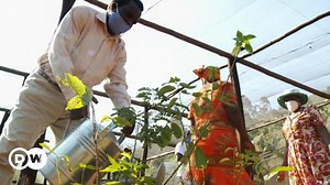 Zimbabwe: Rebuilding after the cyclone