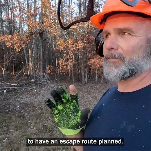 9.2K views · 260 reactions | Timber Harvest On The Farm! STIHL | Stoney Ridge Farmer | Facebook