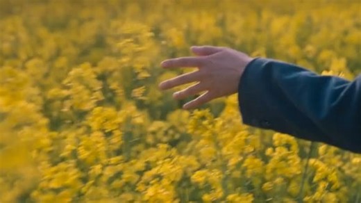 2025年度最佳韩剧预定！《苦尽柑来遇见你》首曝预告1｜双重生 虐恋治愈｜财阀逆袭人生