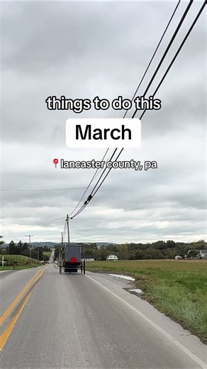 It’s time to shake off cabin fever and explore all that Lancaster, PA has to offer this spring. Here's a small list of all the things you need to do this March in Lancaster County, PA: 51st Annual Woodcarving Festival 🪵 📆 March 14 - 15 Zenkaikon! ✨ 📆 March 20 - 21 Rails & Ales 🛤️🍺 📆 March 28 Amish Mud Sales! ✨ - March 6 & 7 | Bart Township Auction & Mud Sale - March 6 & 7 | Rawlinsville Mud Sale - March 13 & 14 | Gordonville Spring Mud Sale & Auction - March 21 | Penryn Volunteer Fire Comp