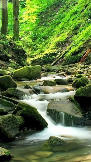 Beethoven - Symphony No. 6 in F Major, Op. 68 "Pastoral": II. Andante molto mosso