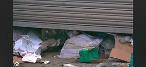 305K views · 3.6K reactions | Some amazing daytime rat shooting using the RTI Arms MORA paired with the DNT Optics ZULUS 3-12. #thermal #pestcontrol #viral #hunting #nightvision | vermin control Scotland | Facebook