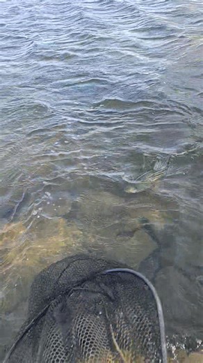 Have a fantastic day | Eric Remillard Sr.