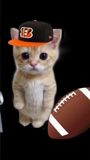 Free screensavers ￼￼