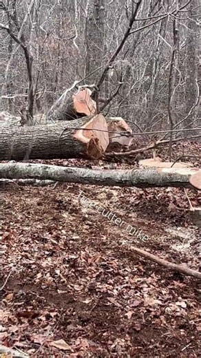 #woodgrain #oldschool #logging #valogger #timberjack #winching #550xp