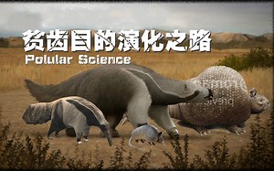 贫齿目的演化之路，各种史前地懒，雕齿兽和各种巨兽