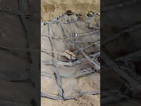 The most essential survival skill everyone should learn