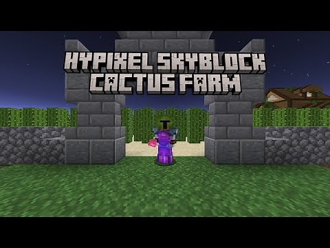 How to Build a Max Efficiency Cactus Farm for Hypixel Skyblock