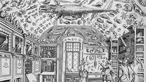 Museums are about to change forever