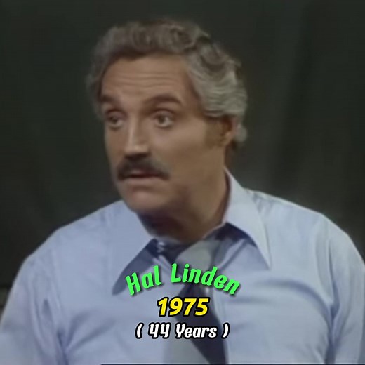 Barney Miller 1975 Cast Then And Now 2024 #barney #miller #barneymiller #thenandnow #thenandnowchallenge #70s #tvseries #tvshow