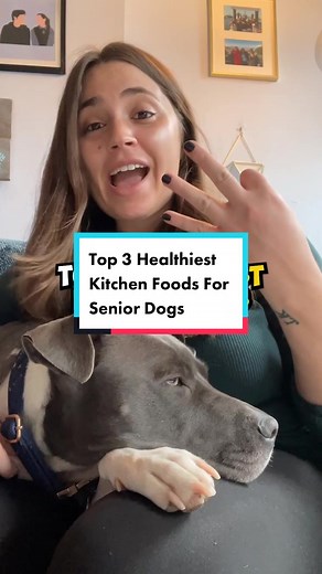 PetLab Co. on TikTok