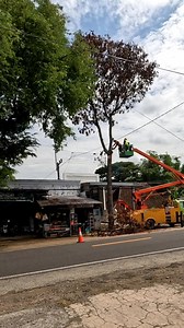 It seems we have additional work in the form of dry leaves🤣 | Erwan Hasena Putra