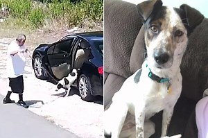 Heartless jerk caught ditching dog at infamous dumping ground