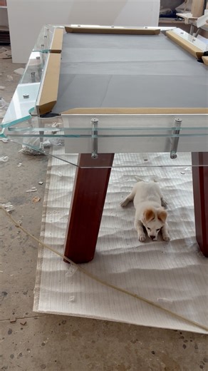 Glass and Wood combine pool table Small size 6ft Customize Retail and wholesale Contact us #pooltable #glasstable | Jiangxi Wanyaju Wood Industry Co., Ltd | Facebook