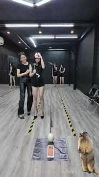 Catwalk Egg Smash Challenge – Win an iPhone 17 #bybacademy #daotaonguoimau #thanhhuyennguyen