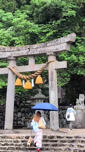41K views · 710 reactions | Visiting the Shimosuwa World Heritage Site! | PewDiePie | Facebook