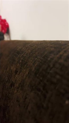 Model train returns to steam