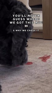 52K views · 11 reactions | Say goodbye to scrubbing with spillproof, machine washable rugs. Safe for pets & kids, and contains zero PFAS or BPA. ✨ All sizes fit in household washer & dryer ✨ Includes cushioned, non-slip pad ✨ Stylish, hand-illustrated designs ✨ Free shipping & 30-day returns | Tumble | Facebook