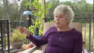 “If we want butterflies and bees and hummingbirds and birds, we have to give them a place to breathe and a place to eat and a place to shelter,” Kathleen Scott told us when we headed to her New Braunfels garden in November 2022. An experienced gardener, Kathleen’s a Comal County Master Gardener and serves on the board of the New Braunfels Native Plant Society. Still, she started anew when she and husband Denny closed on their just-built house in November 2020. Their challenges: HOA lawn requirem