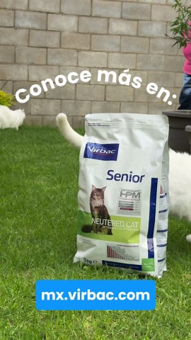 Veterinary HPM: Energía para tu Mascota