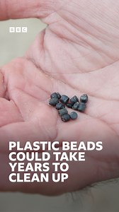 Plastic beads found washed up on the beach at Camber Sands have also been discovered at Rye Harbour Nature Reserve and in Dungeness, Kent. More here: https://www.bbc.co.uk/news/articles/c24levjvm6mo | BBC Kent