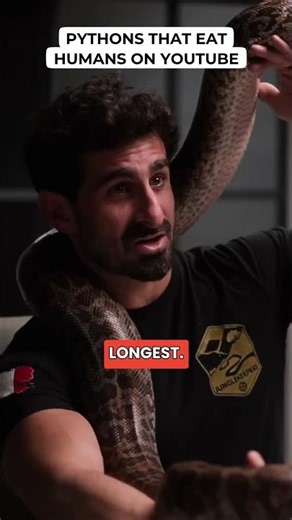 Pythons That Eat Humans On YouTube