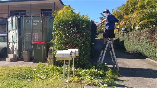 Our hedge trimmers simply are the best! 👌 Check out how @aceslpc trims the tops, sides, and everywhere in between to perfection. 🌳 Get through your next hedge trimming job with ease - check out our broad range of hedge trimmers at your local Bushranger dealer. #BushrangerCommercialBatteryRange #OutdoorPowerEquipment #HedgeMaintenance #HedgeTrimmer #BushrangerPowerEquipment #BatteryPowered #Multitool | Bushranger Power Equipment - Australian Owned & Operated