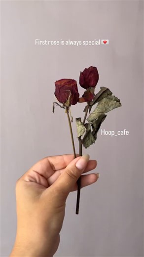 Hoop cafe | Resin | Embroidery on Instagram: "Rose petals preserved name keychains ♥️🥀 Made out of rose, he gifted you ✨🧿 . Dm for yours @hoop_cafe . loved ones feel special and blessed to have you Follow for more @hoop_cafe . . [presevation, rose preservation, hoopcafe , petals , handmade jhumka ring name stand initial keychain resin crescent pendant moon Chand real rose handwritten love letter vintage first] . #hoopcafe #resin #rose #rosepreserved #preservation #rosepreservation #handmadewit