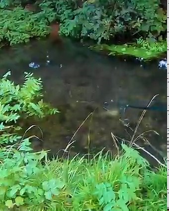 BIG fish smashes my lure! New video is now live! https://youtu.be/R3SBiy6qW6o | Fish With Carl