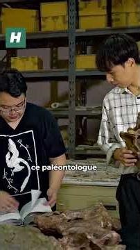 Le Nagatitan, un dinosaure gigantesque découvert en Thaïlande, porte bien son nom